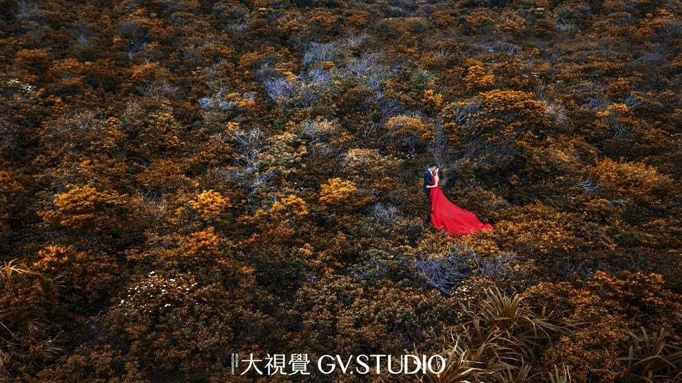 鹿嘴山庄