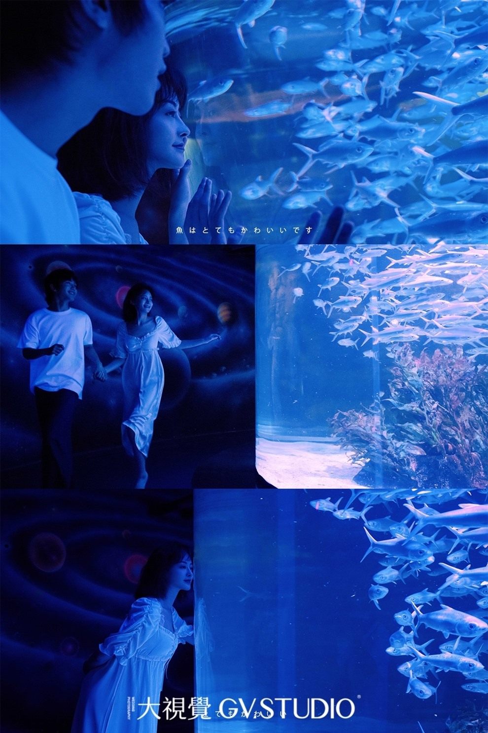 海洋馆