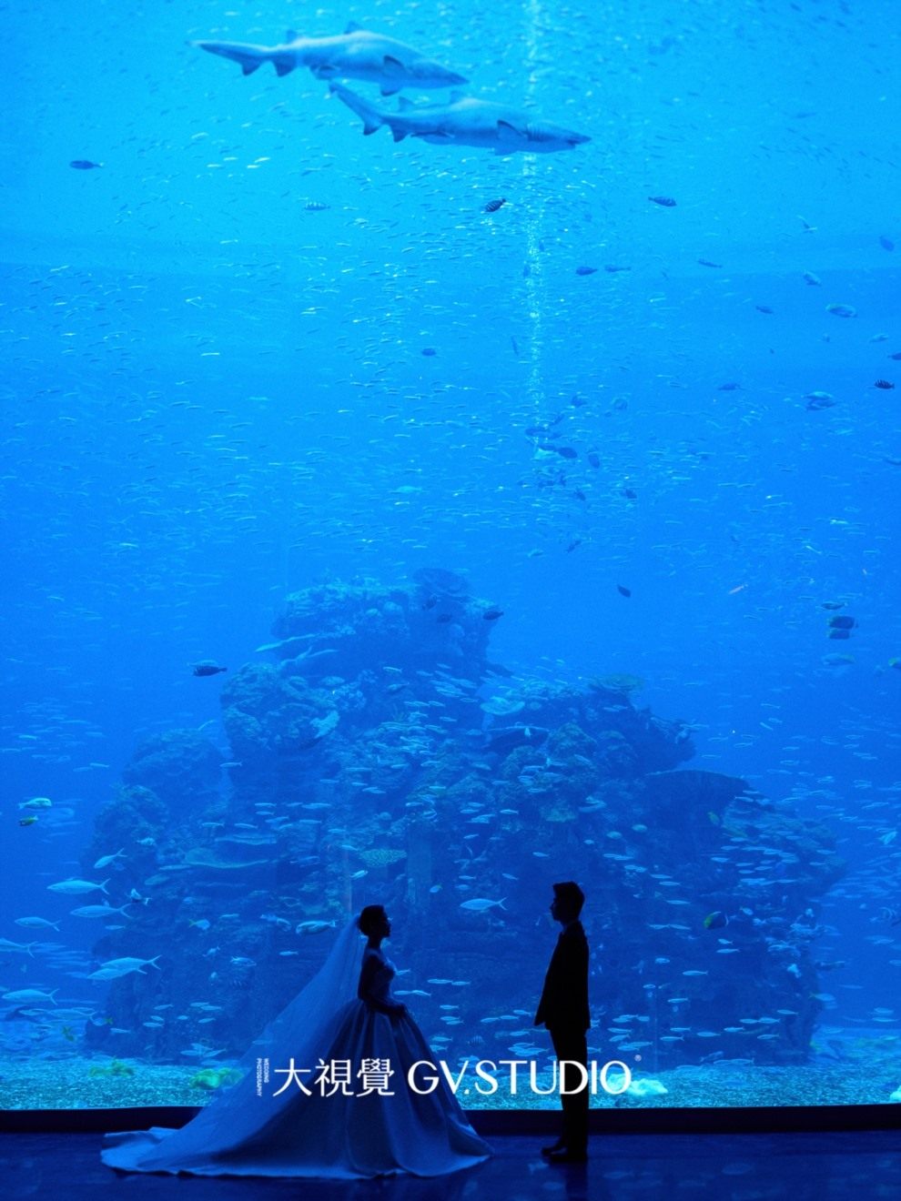 二月第四周