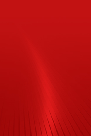 二十大无忧承诺